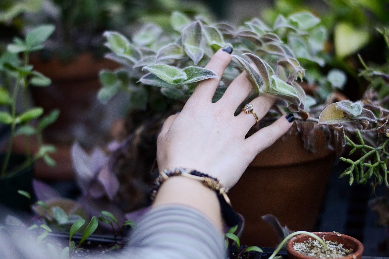Fashionable lady gardening whilst wearing a brilliant engagement ring and radiant bracelet