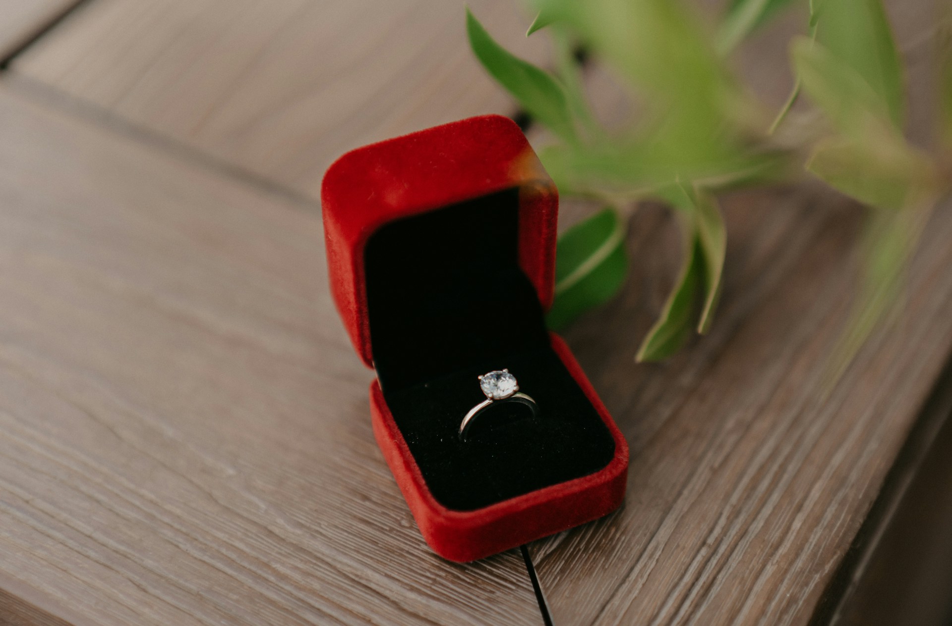 A solitaire platinum diamond engagement ring in a red velvet box placed on a wooden surface A solitaire platinum diamond engagement ring in a red velvet box placed on a wooden surface