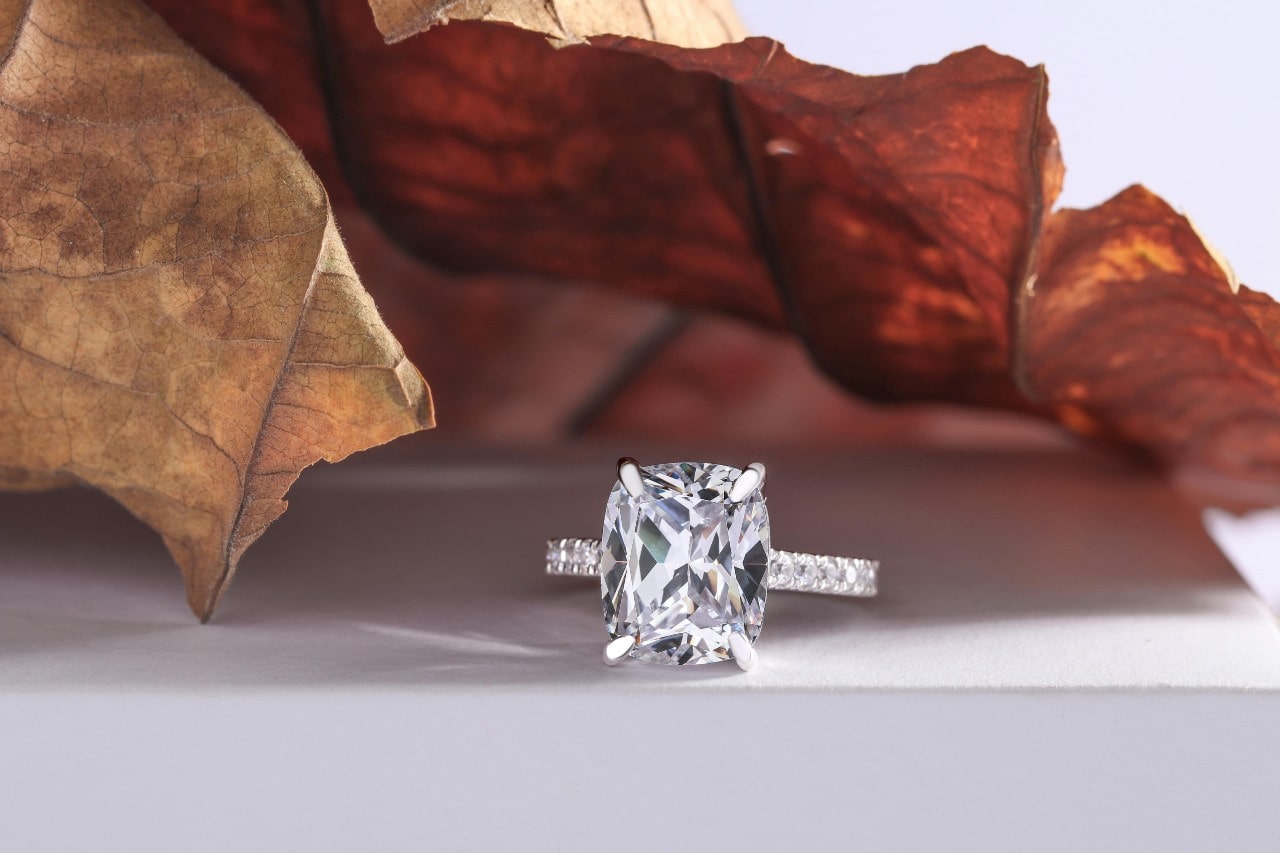 A white gold engagement ring with a prominent diamond under brown leaves. A white gold engagement ring with a prominent diamond under brown leaves.
